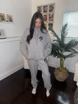 Limited Edition VZN Hoodie (Gray) **VOLUME 2**